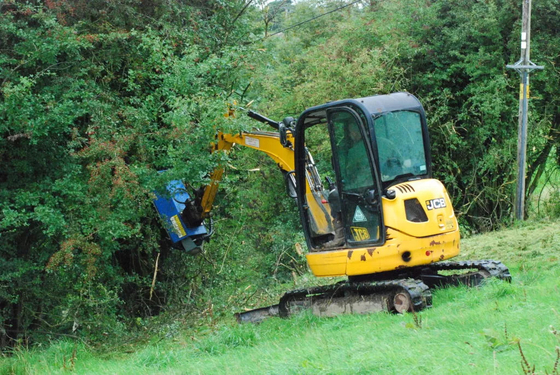 Exkavator Flächenmäher 6Ton Exkavator Landwirtschaft Anschluss Anpassen mit und Q355/NM400/HARDOX450